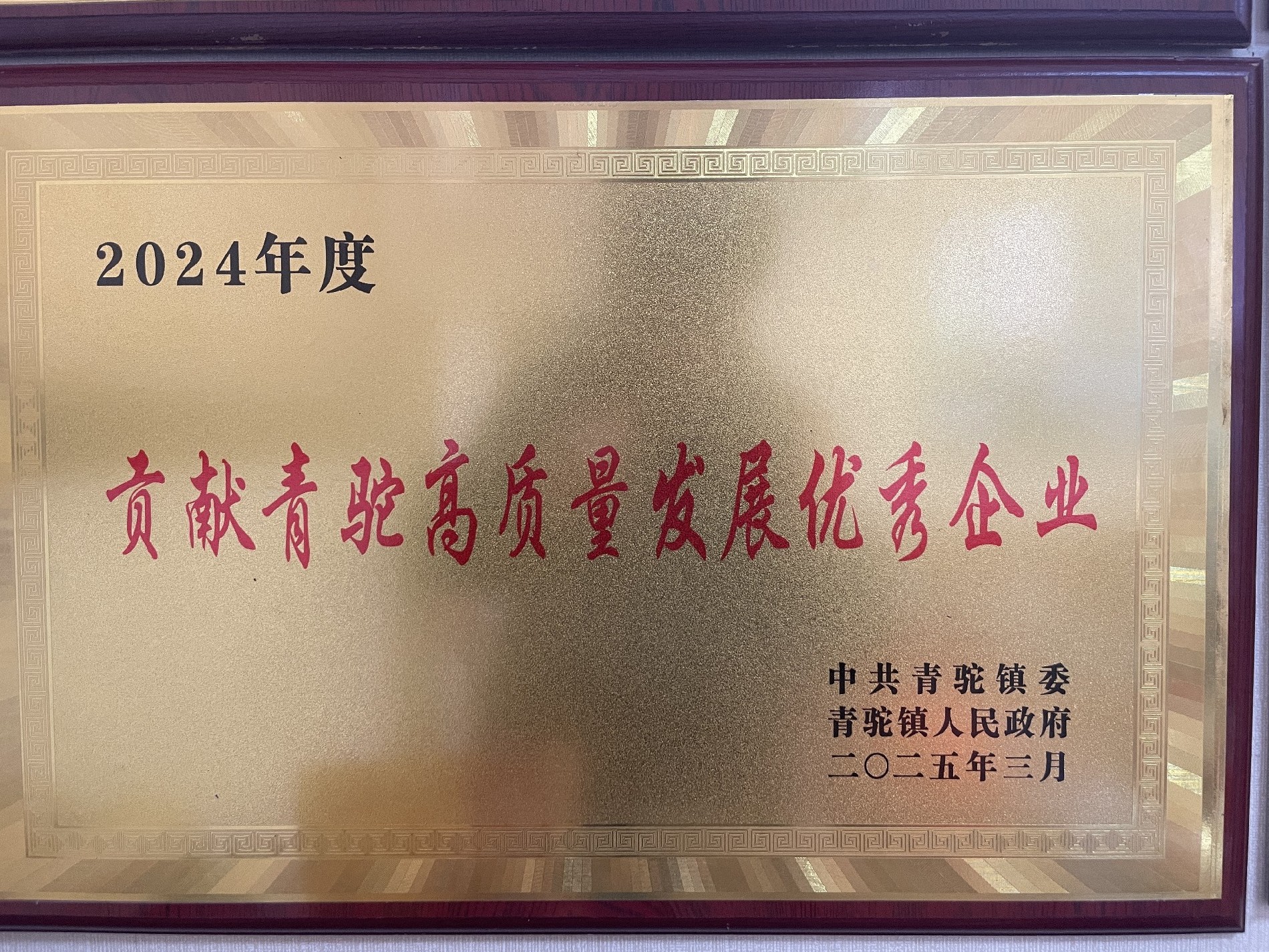 2024年度貢獻青駝高質(zhì)量發(fā)展優(yōu)秀企業(yè)